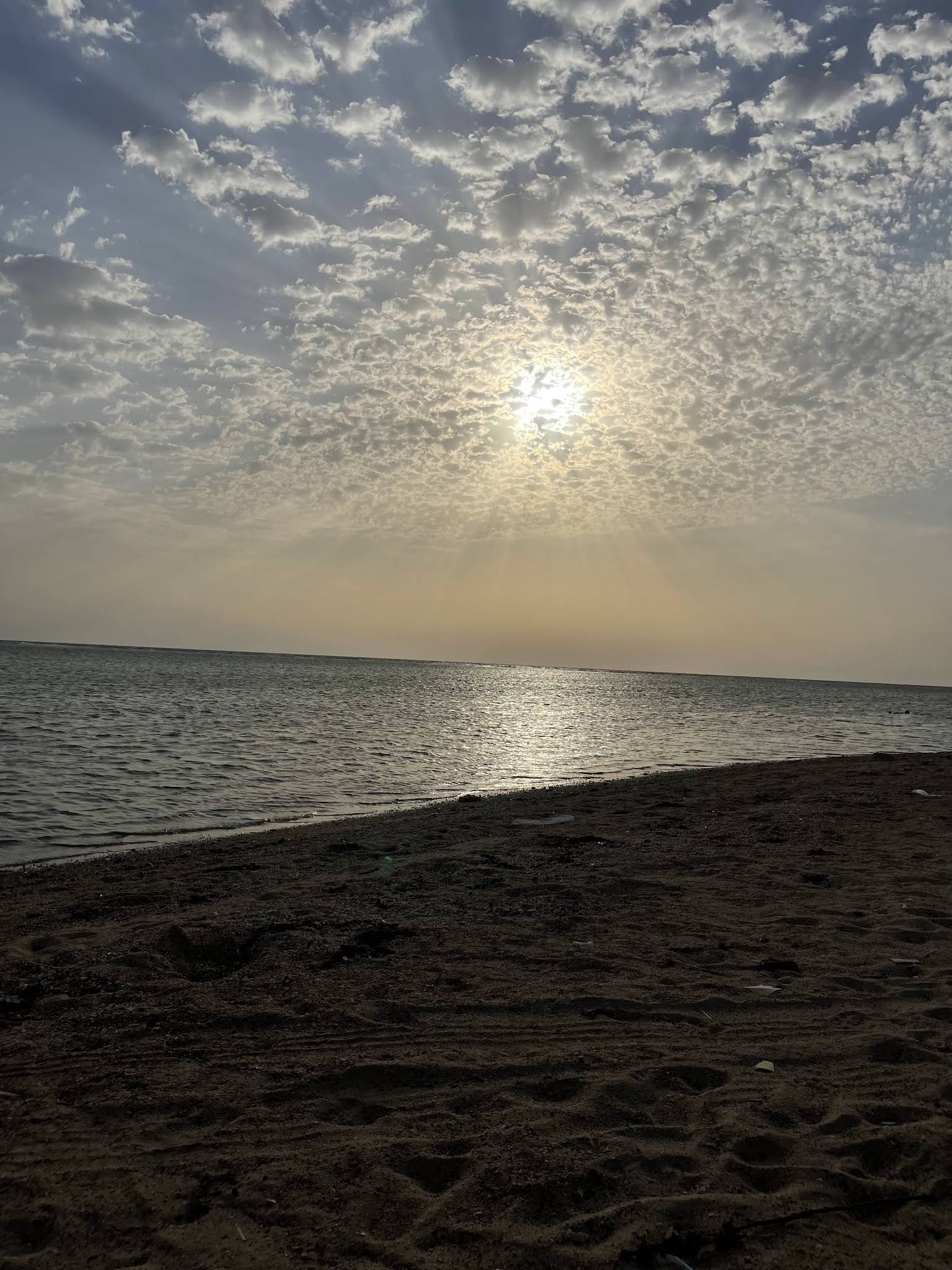 صورة 1 من تجربة خليج سلمان
